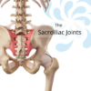 The Sacro-Iliac Joints