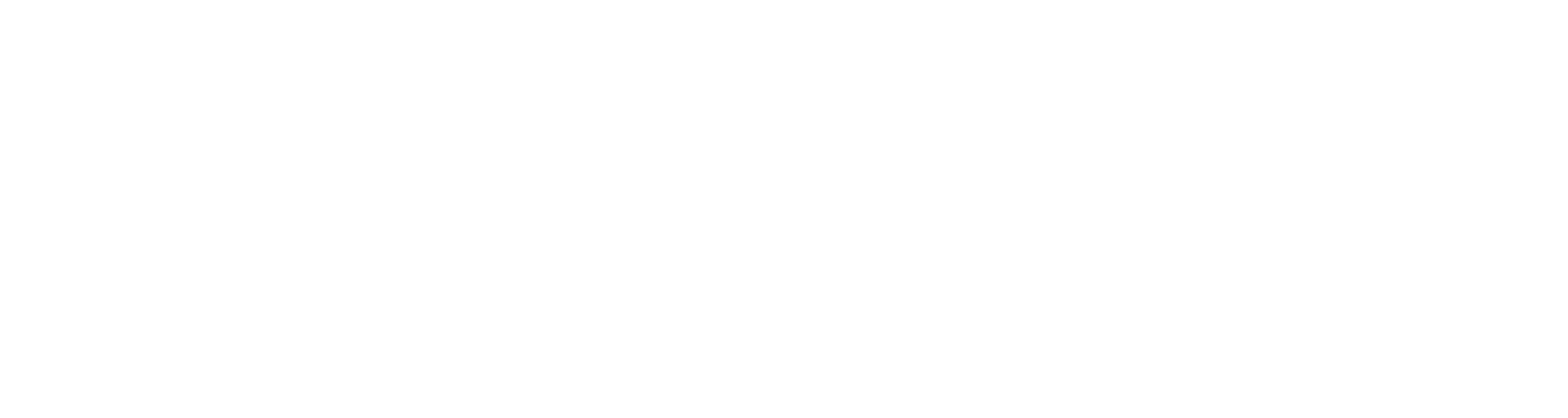 Zoomer-Logo (1)