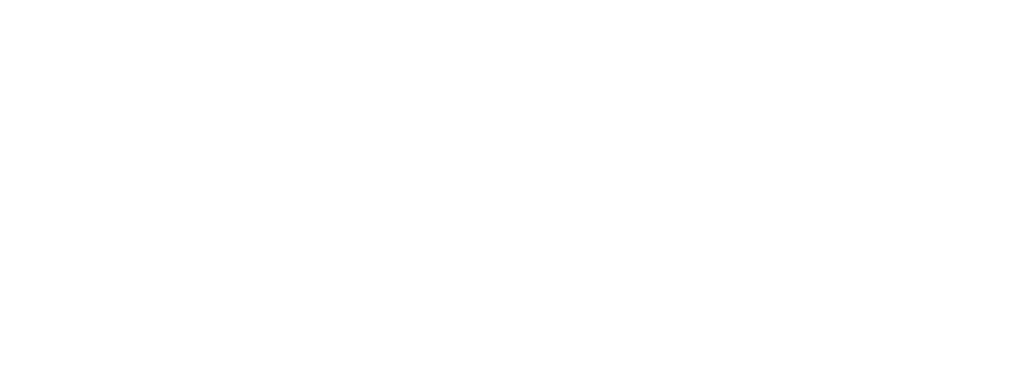 peak performance running logo